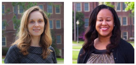 Dissertation Research Grants Fsu